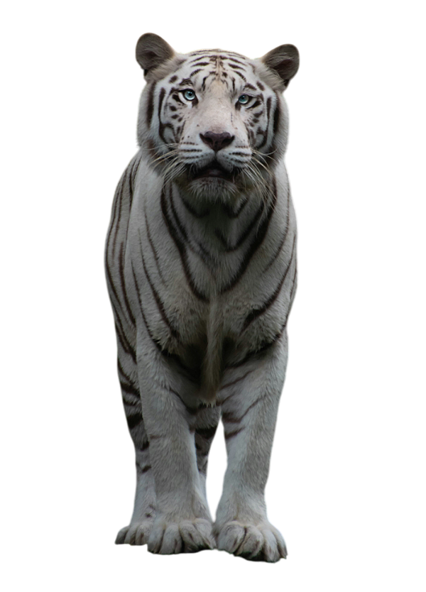 권오천 대표변호사